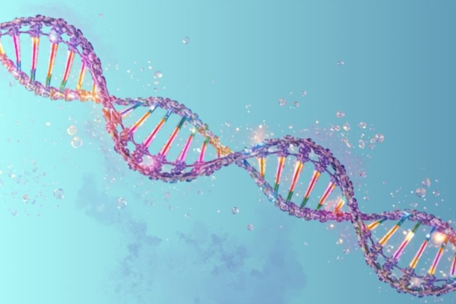 Una doppia elica di DNA colorata su fondo azzurro
